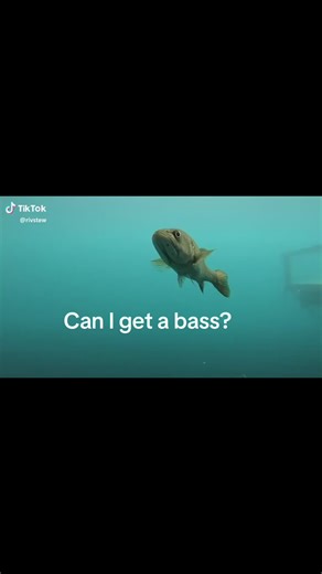 How to Catch a Green Bass: Size Matters