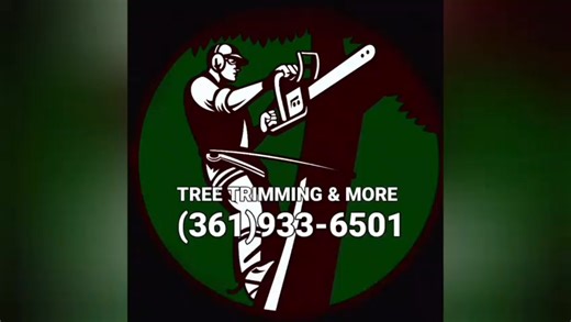🌳❄️Winter storm is coming our way. Be prepared, trust the professionals at Tree Trimming & More for any of your tree related concerns. Call 361-933-6501 | Corpus Christi Crónica