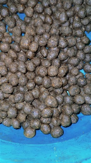 Comment fabriquer son suppositoire fait maison bio #commentfabriquersonsuppofessier #pourtoi