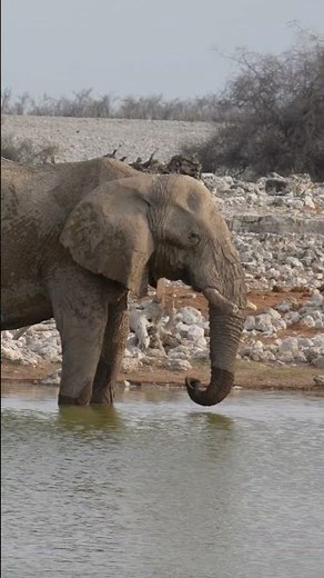 🌊 World Water Day 2024: Leveraging Water for Peace 🌊