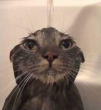 Travis Scott-90210 sped up perfectly