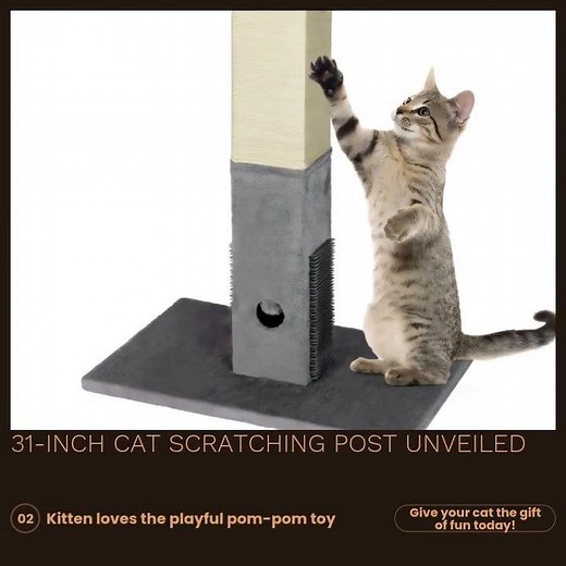 31-Inch Cat Scratching Post Unveiled