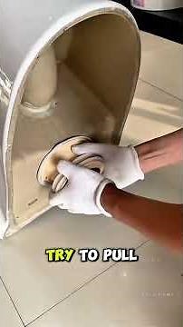 Professional toilet installation and repair guide.