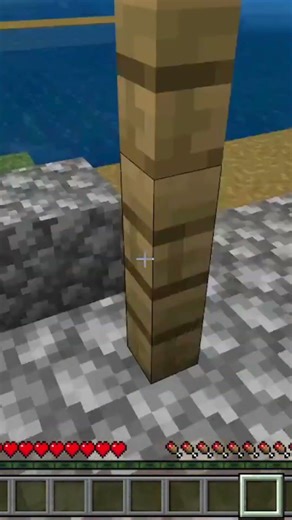 Minecraft trapped me in an infinite loop