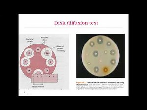 Antimicrobial sensitivity testing part 2