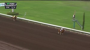 345K views · 5.1K reactions | California Chrome cruised home, AT home, in Saturday's Winter Challenge Stakes at Los Alamitos! He set a track record in the victory, and will now point to next month's $12 million Pegasus World Cup at Gulfstream Park. Can he win a potential rematch with Arrogate? Reply below and tell us what you think! | FanDuel Racing | Facebook