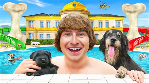 My dog now lives in a 5-star luxury hotel