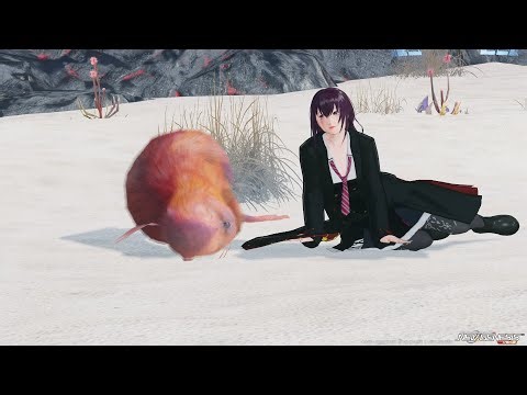 【PSO2 NGS】復帰したので久しぶりに配信します。色々やりたい！【リクエスト・参加歓迎・SHIP10】