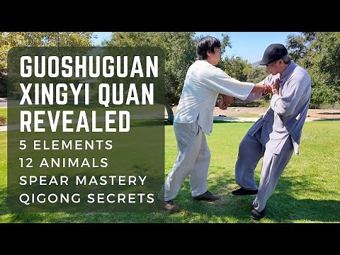 Guoshuguan Xingyi Quan Revealed: 5 Elements, 12 Animals, Spear Mastery, and Qigong Secrets