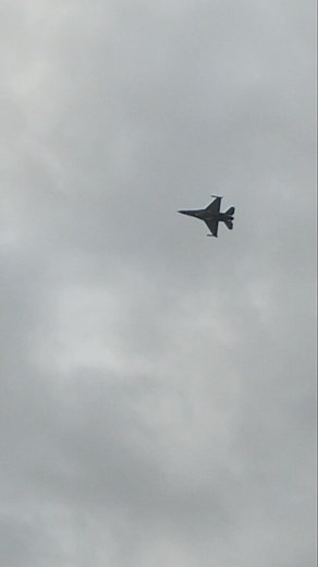 Weed eviction and clean up services on Reels