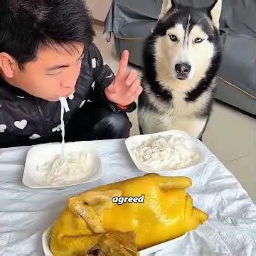 Anything abandoned can be a treasure #pets #cute #funny #shorts