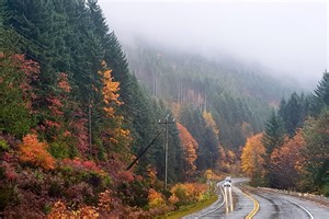 Fall Road Trip Guide: Here’s where to go to enjoy B.C.'s fall colours