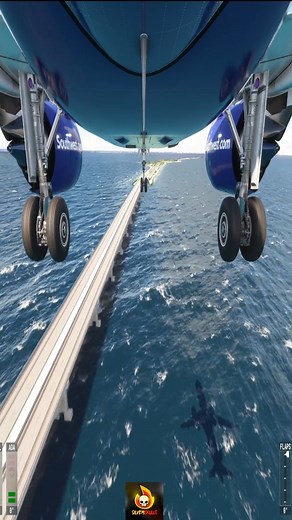 94K views · 102 reactions | Crash Landing In Tampa International Airport | SilverSkulls Gaming | Facebook