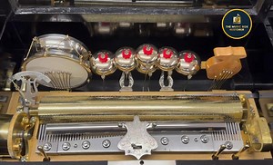 18K views · 1.1K reactions | Dear Followers We are so glad that you...