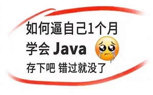 【B站最系统的Java教程】整整300集，全程干货无废话，学完变大佬！Java基础_Java教程_Java学习路线_Java毕设