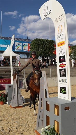 Trailhindernisse in der Working Equitation – Ein Leitfaden