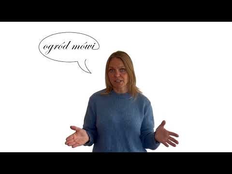 Brunnera macr 'Jack Frost' ®