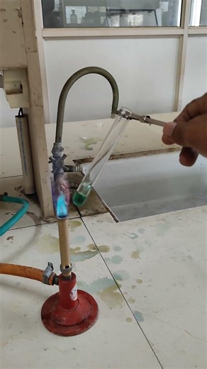 #experiment #pharmacy #science #chemistry #alkaloids #chemicaltest #trending #pharmacognosy