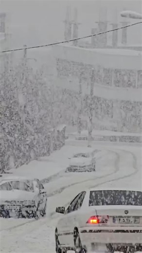 ‎گیل لاکوی 🕊🌱‎ on Instagram‎: "چه برفی میباره بانه 😍😍😍 رشت هم برف میباره یا نه @gille_lakoy 🎥@sorush_rmuzi"‎