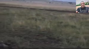 129K views · 1.5K reactions | Lion vs Hyena prey on Zebra #wildlifephotography #fypシ゚viralシ #wildlife #highlight #followme #fypシ | Ide Page | Facebook