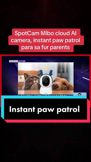 SpotCam Mibo: Instant Paw Patrol para sa Fur Parents