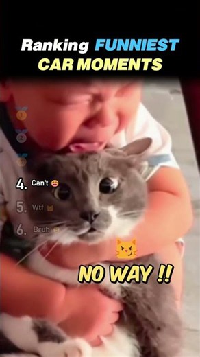 Ranking FUNNIEST CAT MOMENTS Core Moments!! 😂🐱