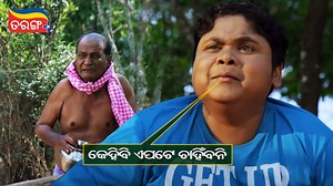 କେହି ବି ଏପଟେ ଚାହିଁବନି... Watch this best comedy scene from the movie "Dipu - The Dance Boy" Download the Tarang Plus to watch your favourite Odia movies. #DipuTheDanceBoy #ComedyScene #tarangplus | TarangPlus