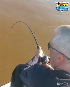 Surubi gigante pescado e devolvido hoje a tarde pela dupla Gregório e Betão Colombo. Gêmeos Pesca Esportiva Você merece o Melhor! 💻gemeospescaesportiva.com.br 📱whatsapp 51 995292828 📞 51 3340 2624 📱face: gemeos pesca esportiva 📸 instagram: gemeospesca #surubim #pesca #pescaria #pescaedevolucao #gemeospescaesportiva #itaibate #fishtv #fishtvoficial #pesca #pescador #pescaesolte #pescados #pescadores #tucunare #surubim #pousadagemeos #lodgegemeos #rioparana #corrientes #pousadagemeospescaespo