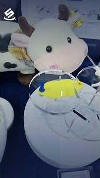 Silicon Craft at mai FORUM 2025