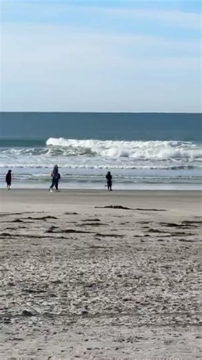 Dave Langer on Instagram: "Sunday 12/28 Oceanside Harbor North side Jetty"