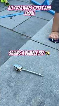 Nathan saves his first bumble bee! 🐝