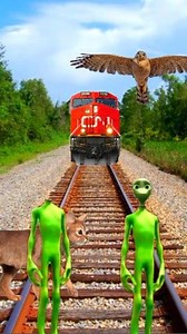 177K views · 849 reactions | Two alien train cute hawk vs cat funny vfx game #reelsfbviral #reelstrending #viralchallenge #gaming | High Koncept media | Facebook