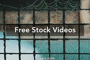 Network Pattern Videos, Download The BEST Free 4k Stock Video Footage & Network Pattern HD Video Clips