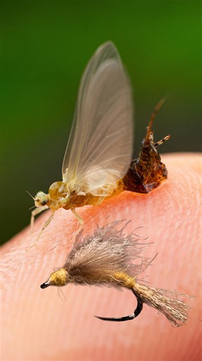 Fulling Mill | If you dry fly fish, chances are you know Signature Tyer @rosenbauert’s Rabbit Foot Emerger. This is an all-rounder emerger pattern that... | Instagram