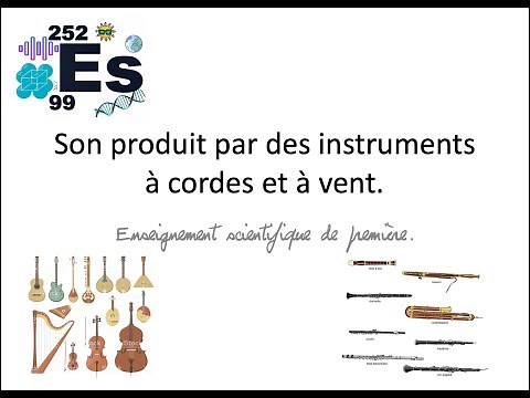 son des instruments à cordes et à vent enseignement scientifique première