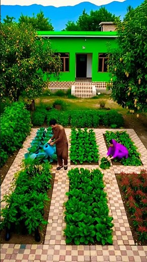 Peaceful Backyard Vegetable Garden | Simple Rural Living & Fresh Harvest 🌿