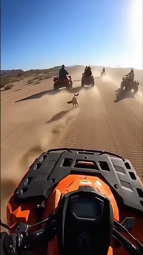 Looney Tunes "Fast and Furry-ous" spotted during ATV group tour 😂 #coyote #roadrunner