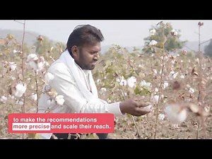 AI-Powered Pest Management for Cotton Farmers