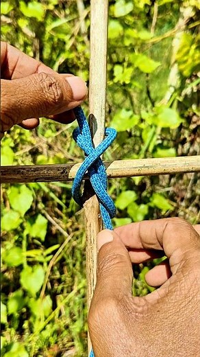 An effective knot to secure two bamboos!..