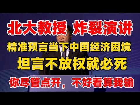 【北大教授炸裂演讲】精准预言当下中国经济困境，坦言不放权就必死！你尽管点开，不好看算我输！