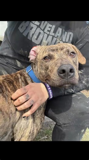 28 reactions · 11 shares | Our baby boy Leo. His bio is below:...