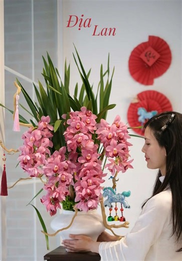 Chán cảnh Tết quét nhà liên tục vì đào rụng lả tả thì đổi gió sang Địa Lan xem sao 😚 #dialan #orchid