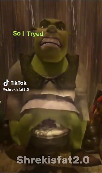 #tryed #poop #fyp #omg #shrek #funny #happy #hahahaha #fypシ゚viral #fyp