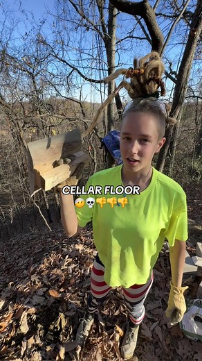 😹😅 High hopes.. medium aspirations. #offgrid #offgridmisty #misty #valife #tnlife #tinyhomelife #tinyhouse #rootcellar #handdug #handtools #rootvegetables #cellar #wetried