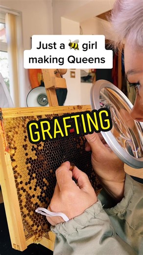 #missbeehaven #missbeehaven123 #queenrearing #queenbee