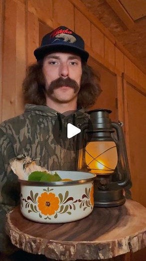 Fritz, Donnybrook, Kris Draper | my paper birch tea recipe 🍵 The bark, twigs, and leaves of a paper birch are a natural detoxifier. They contain anti-inflammatory... | Instagram