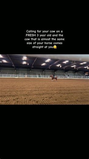 Mastering Cattle Calls with Your Young Horse