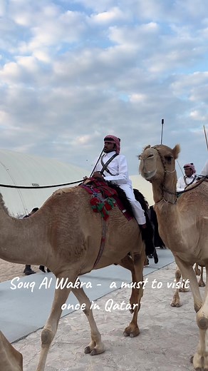 outandaboutdoha على TikTok