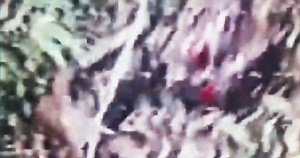 They Almost Got Away With The Alien Cover up | Area52 Investigations