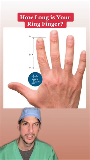 Does Ring Finger Length Affect Testosterone Levels and Attractiveness?